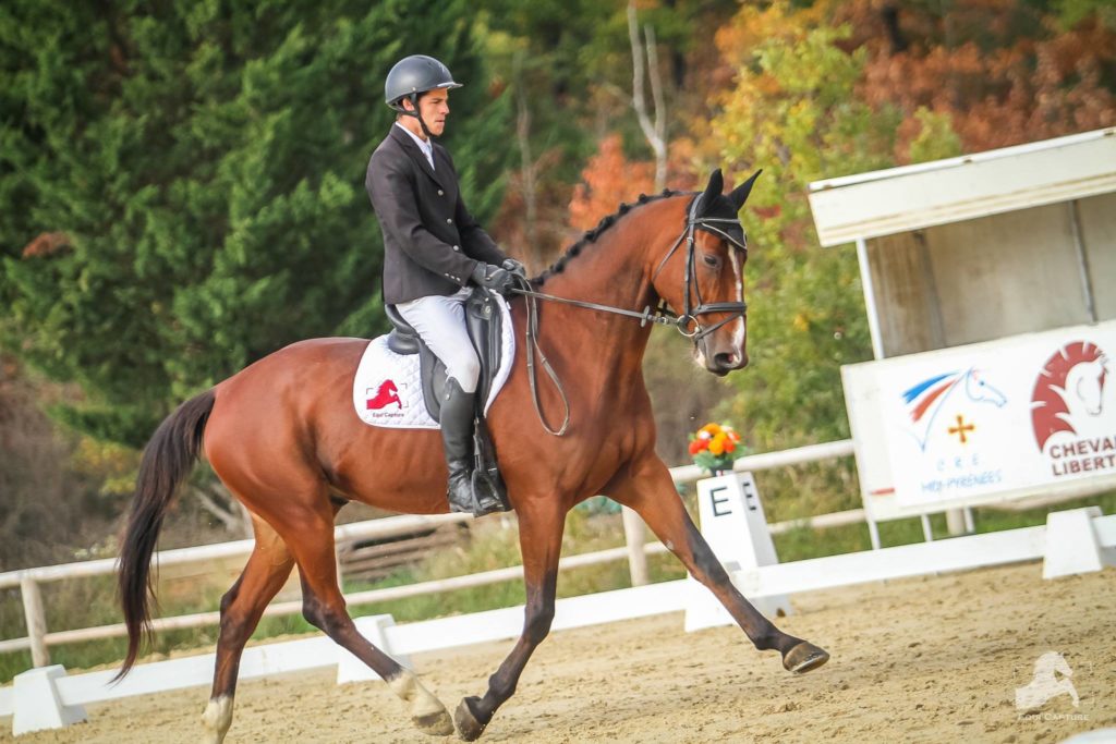 Le prix du Meilleur 7ans « amateur » de Preignan pour Aurélien Latour et Brio des Combes