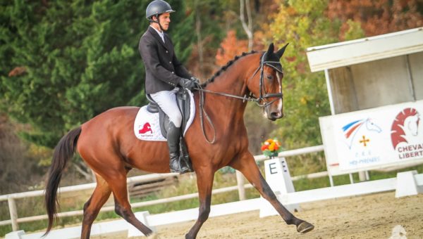 Le prix du Meilleur 7ans « amateur » de Preignan pour Aurélien Latour et Brio des Combes