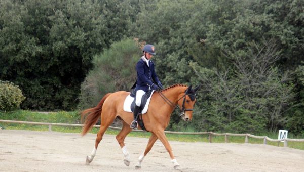 Crack Boy des Aurs, deux victoires en Cycles Classiques 6 ans