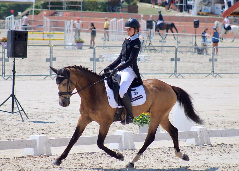 Bishop Burton : Fin de la première journée de dressage pour les Bleuets