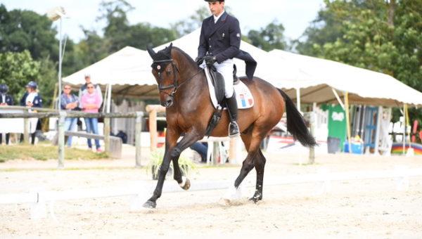 La France en leader sur la Coupe des Nations du Haras du Pin