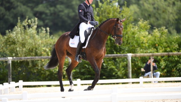 Boekelo J1 : Dressage de la Coupe des Nations