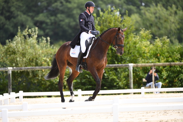 Boekelo J1 : Dressage de la Coupe des Nations