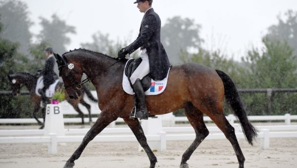 Le Grand Complet J1: du dressage et premières reconnaissances du cross…