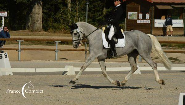 Le Pouget : Anouk Canteloup s’impose au dressage