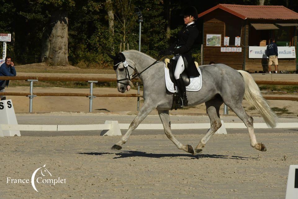 Le Pouget : Anouk Canteloup s’impose au dressage