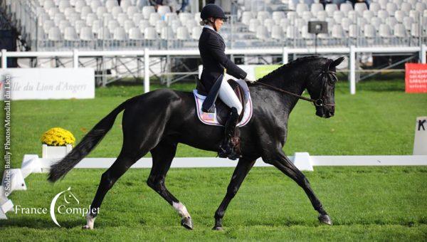 Mondial du Lion J1 : résultats provisoires du dressage