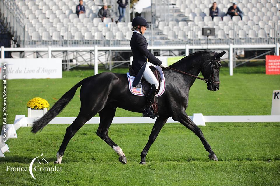 Mondial du Lion J1 : résultats provisoires du dressage