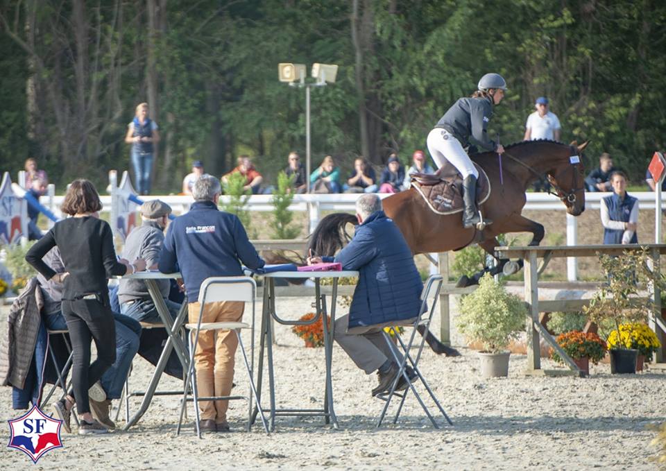 Le Stud-book Selle Français prépare la reprise