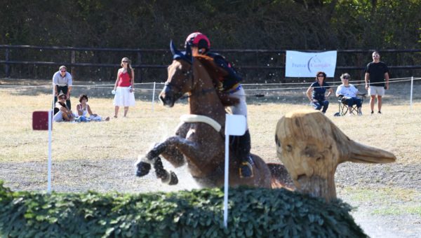 Lignières : les photos en ligne !