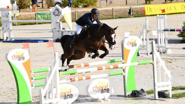 Lignières : Atos Barbotière, « prêt à devenir un grand cheval ! »