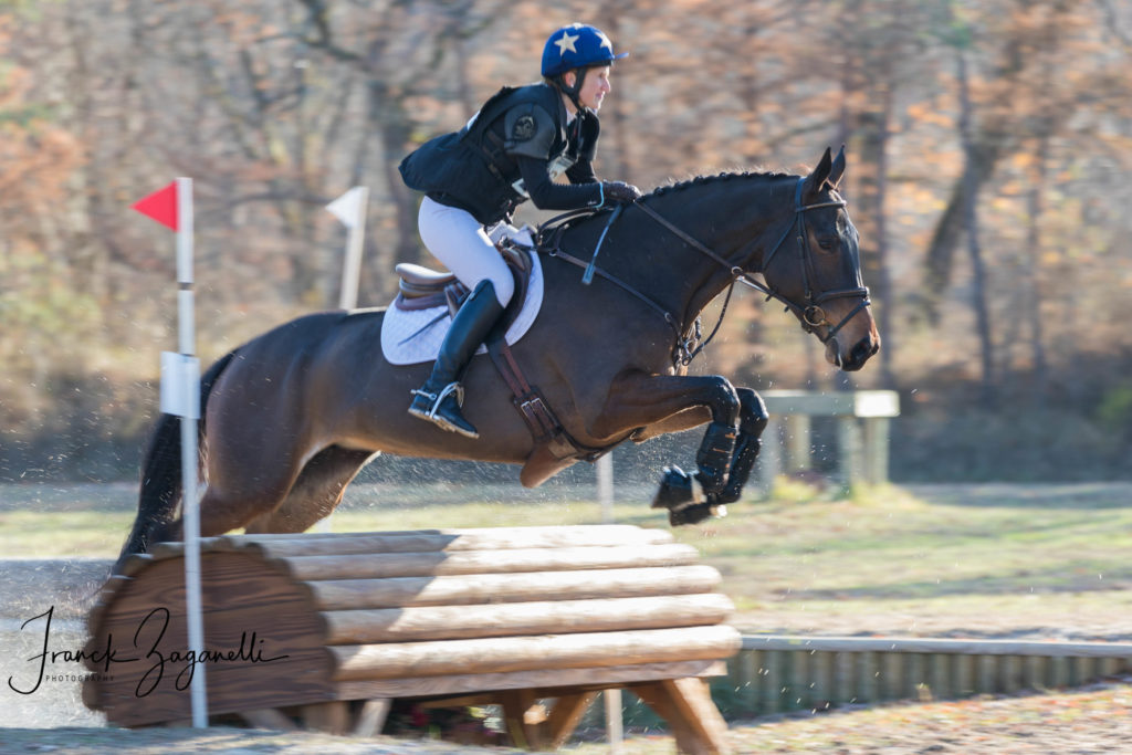 Avez-vous un cheval ou un poney de CCE à vendre ?