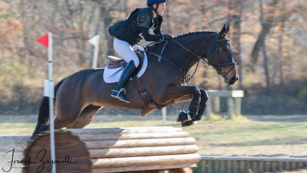 Avez-vous un cheval ou un poney de CCE à vendre ?