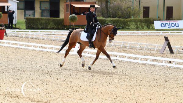 Saumur : Thibaut Vallette gagne le dressage avec Qing