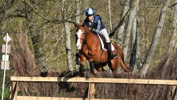 Vernet : le compte-rendu des jeunes chevaux par Luc Simonet