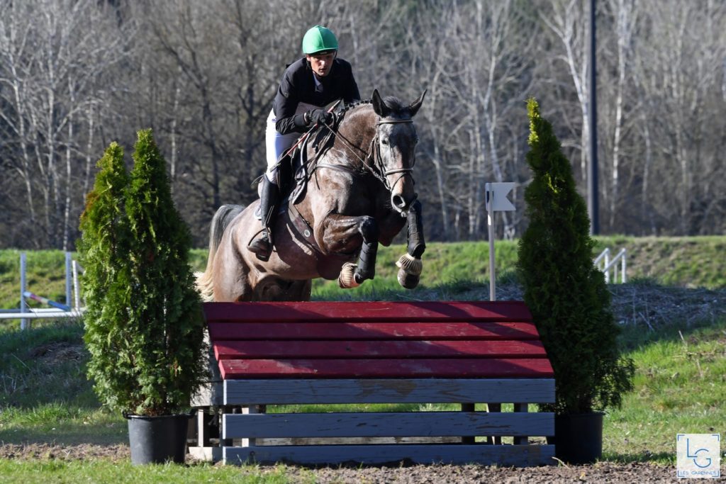 Nicolas Touzaint a fait le plein de jeunes chevaux cet hiver !