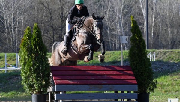 Nicolas Touzaint a fait le plein de jeunes chevaux cet hiver !