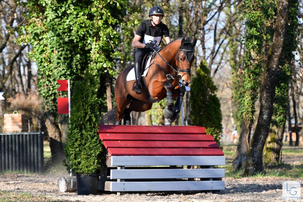 9 jeunes chevaux, 9 histoires à construire