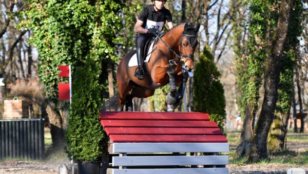 9 jeunes chevaux, 9 histoires à construire