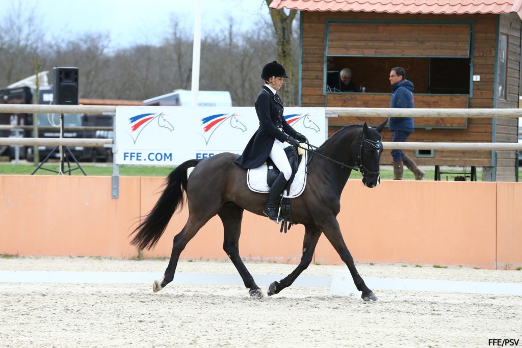 Lamotte : Marie-Charlotte et Clara en tête du dressage