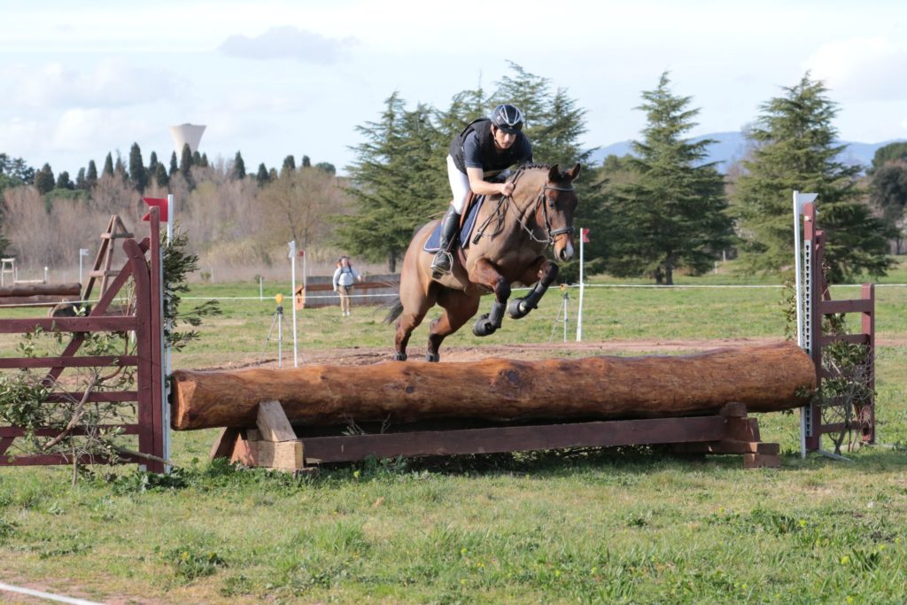 Les meilleurs éleveurs et propriétaires de jeunes chevaux du week-end