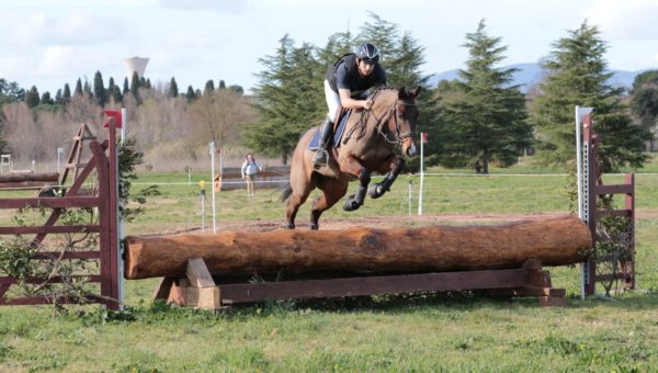 Les meilleurs éleveurs et propriétaires de jeunes chevaux du week-end