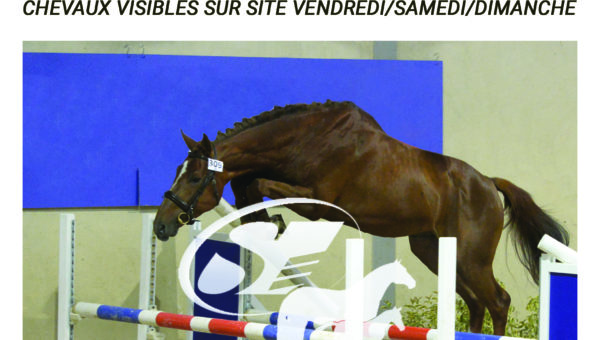 Vente amiable au Boulerie Jump