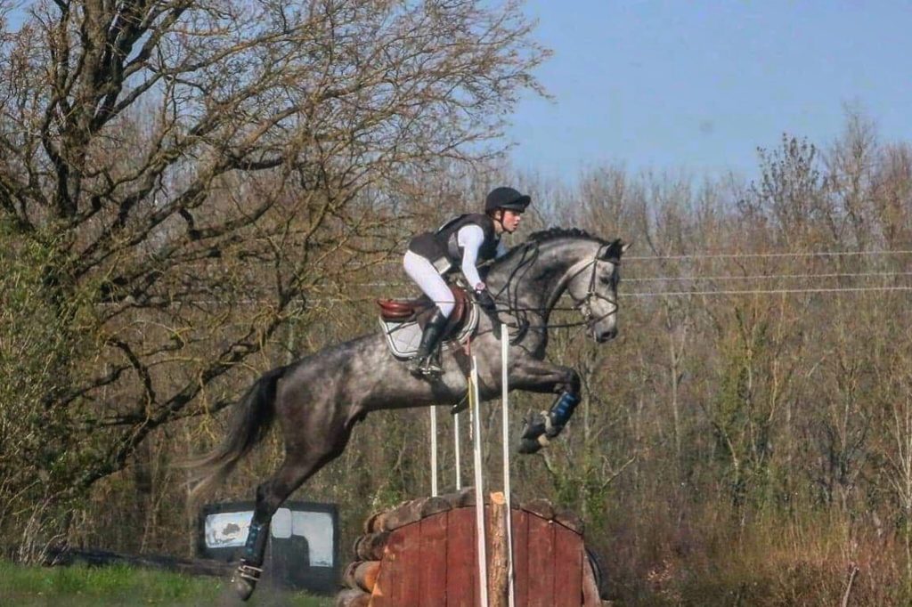 Les meilleurs jeunes chevaux à Brazey