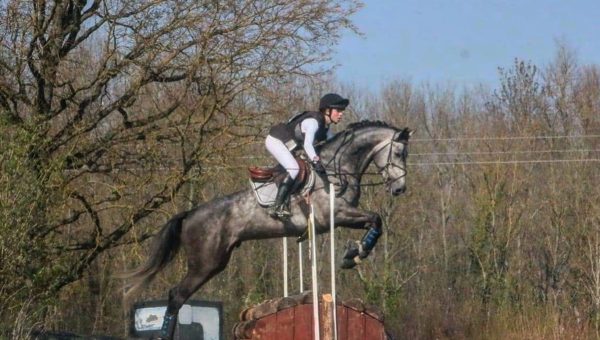 Les meilleurs jeunes chevaux à Brazey