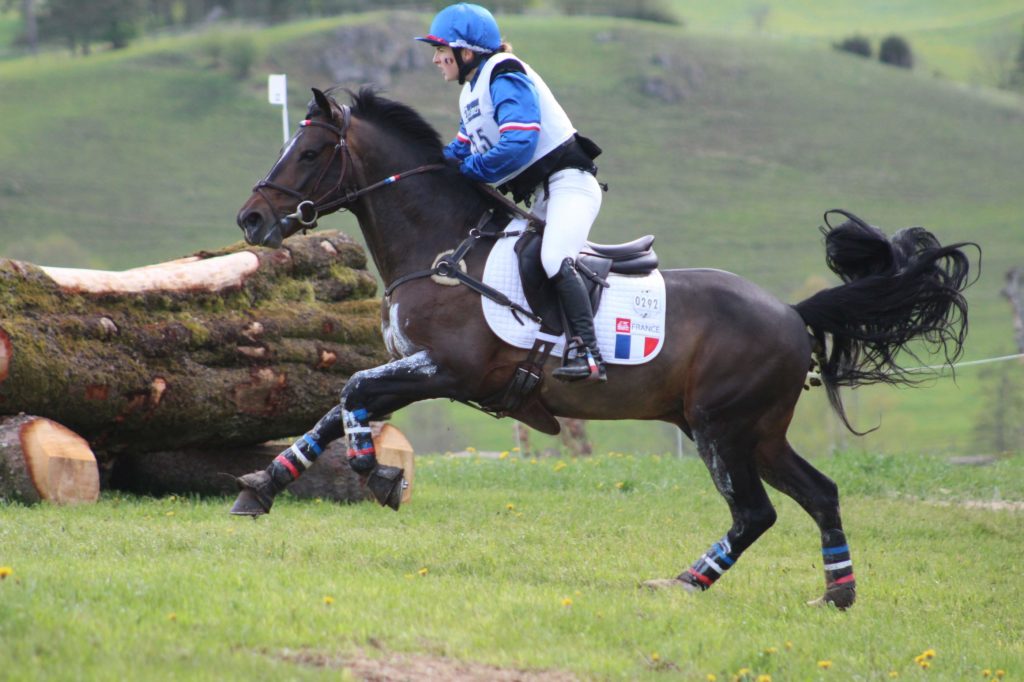 La sélection Poney pour Ballindenisk