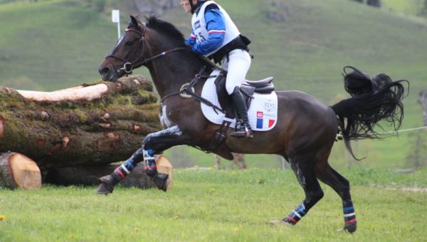 La sélection Poney pour Ballindenisk