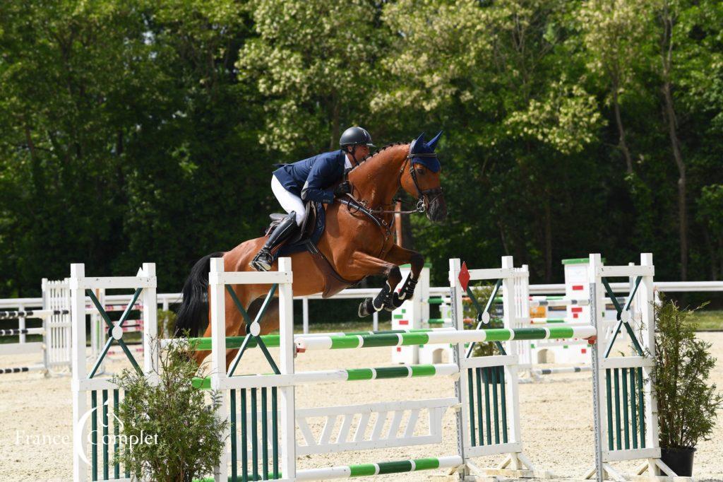 Des nouvelles des Frenchies à Waregem et Blenheim