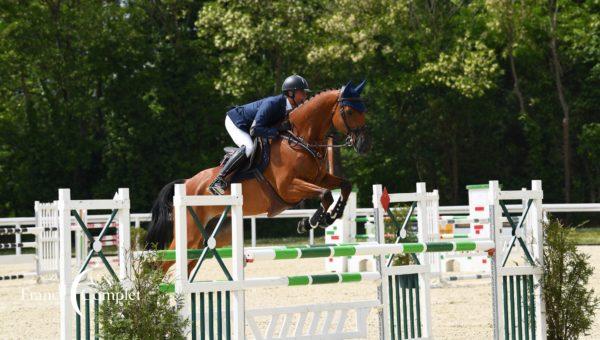 Des nouvelles des Frenchies à Waregem et Blenheim