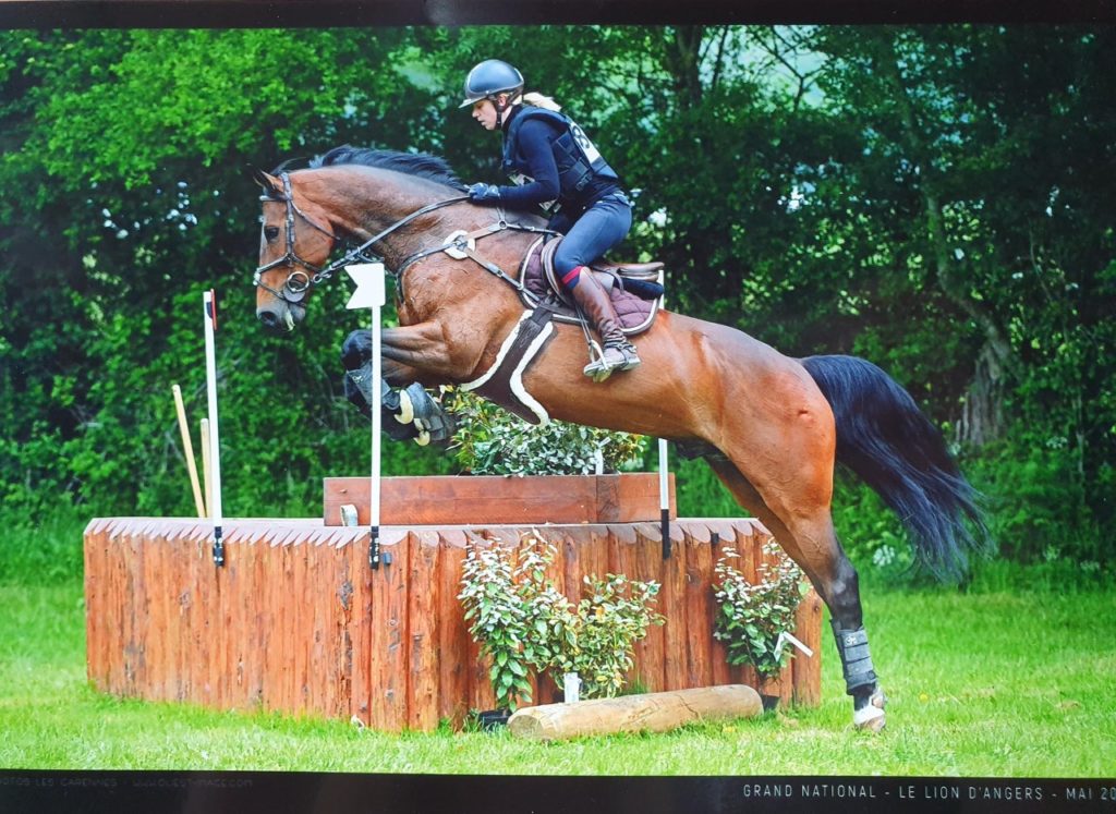 Dol de Bretagne : Cadero d’la Rousserie, meilleur 7 ans Amateur