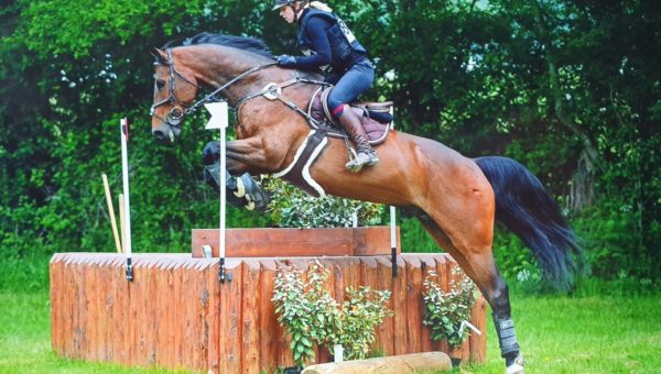 Dol de Bretagne : Cadero d’la Rousserie, meilleur 7 ans Amateur