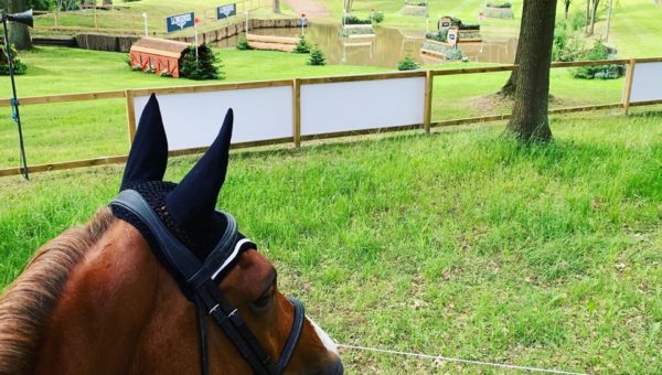 Journées du Complet : Vision du cheval sur le cross