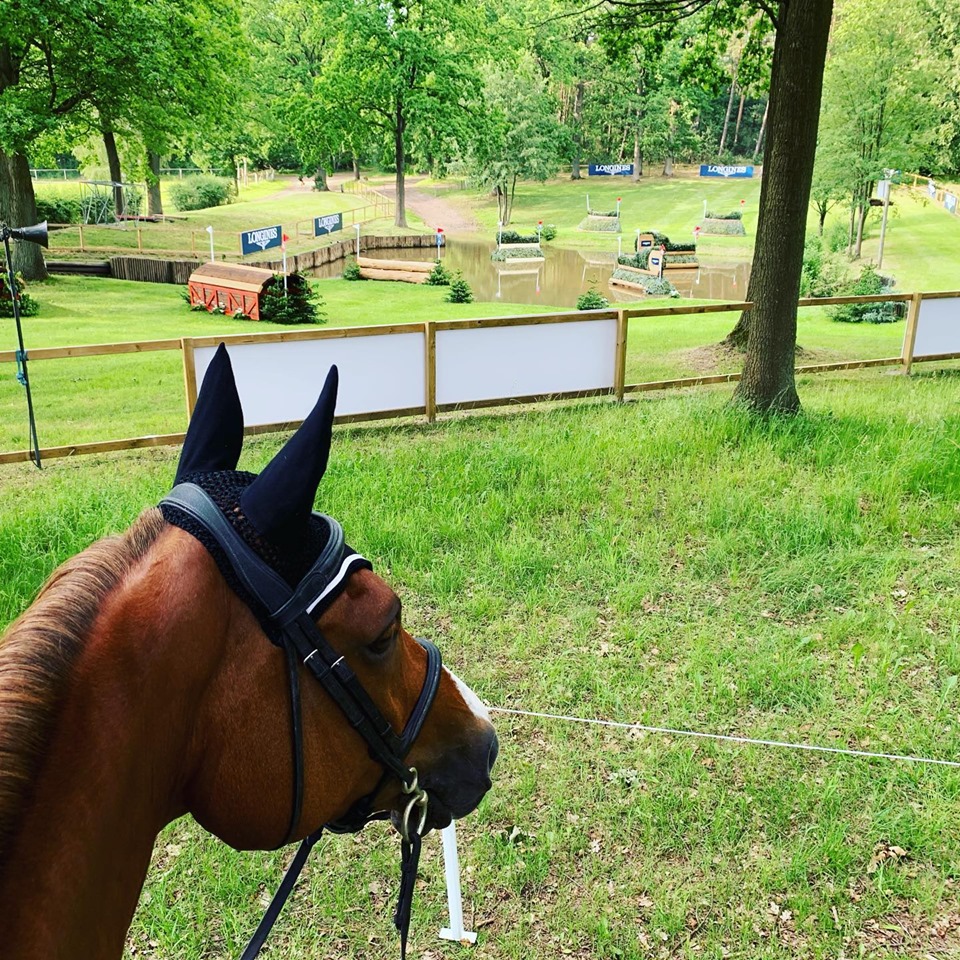 Journées du Complet : Vision du cheval sur le cross