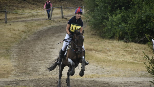 La sélection pour les Championnats d’Europe Poney