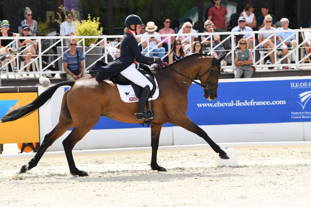 Fonctionnement du dos du cheval et entraînement