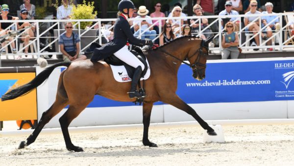 Fonctionnement du dos du cheval et entraînement