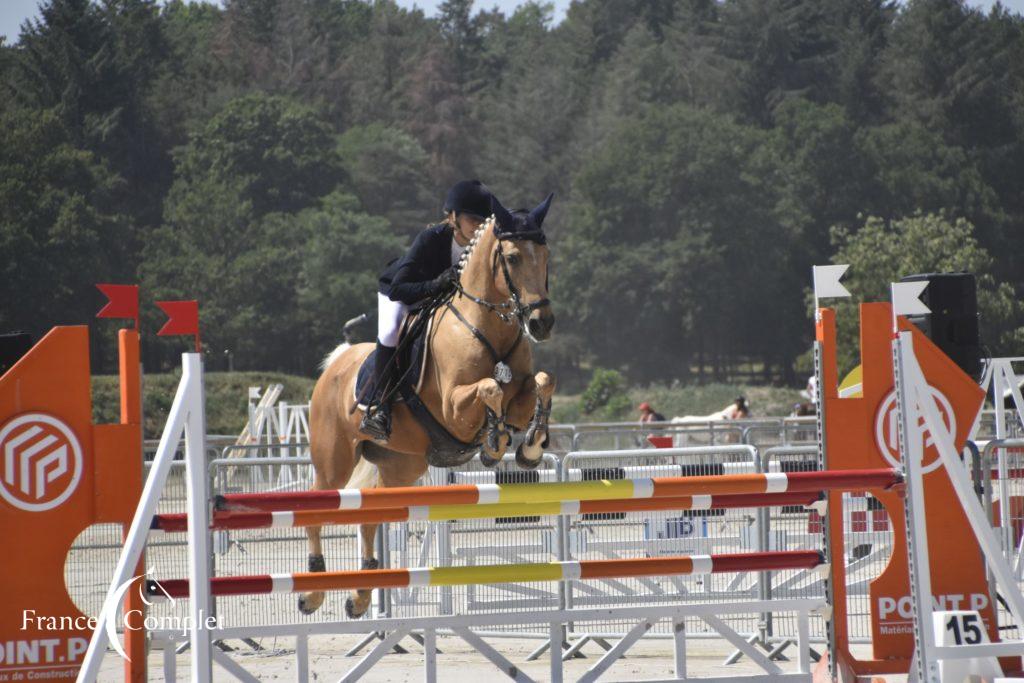 Ardingly : les Poneys échappent à la tempête