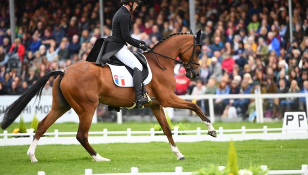 Burghley J1 : Sébastien Cavaillon dans le top 5 !