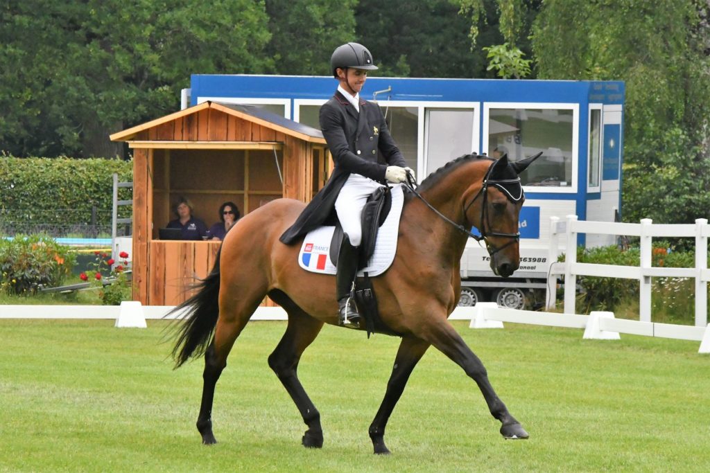 Waregem : Victor Levecque, meilleur Français au dressage