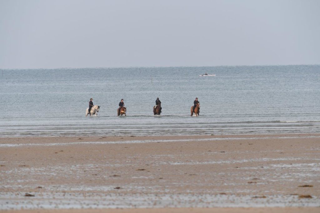 Luhmühlen : Dernier galop avant le départ