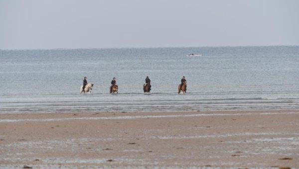 Luhmühlen : Dernier galop avant le départ