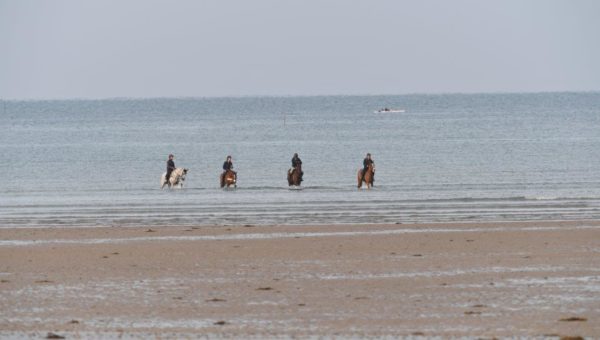 Luhmühlen : Dernier galop avant le départ