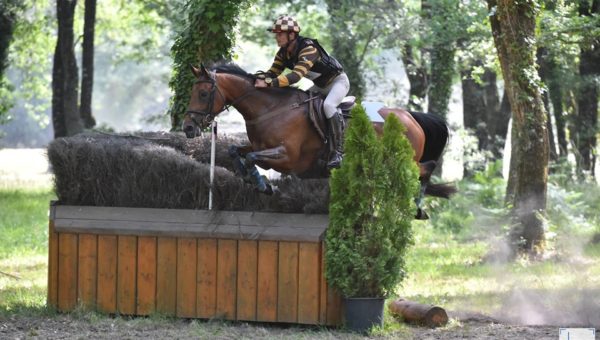 Vernoil : Cemabelle, meilleure 7 ans Amateur