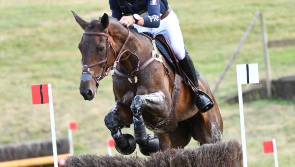 Blenheim : les jeunes poursuivent leur progression