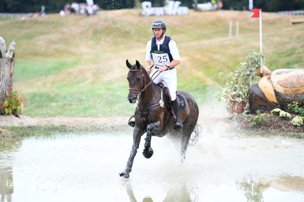 Record de jeunes chevaux au Lion d’Angers !