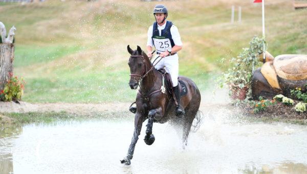 Record de jeunes chevaux au Lion d’Angers !